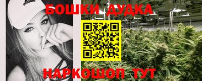 стаф Будённовск