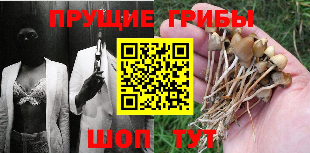 Лесной  Псилоцибиновые грибы MAGIC MUSHROOMS  Вход с VPN  Псилоцибиновые грибы мухоморы 